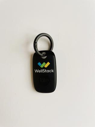 Tile Pro + Key Ring